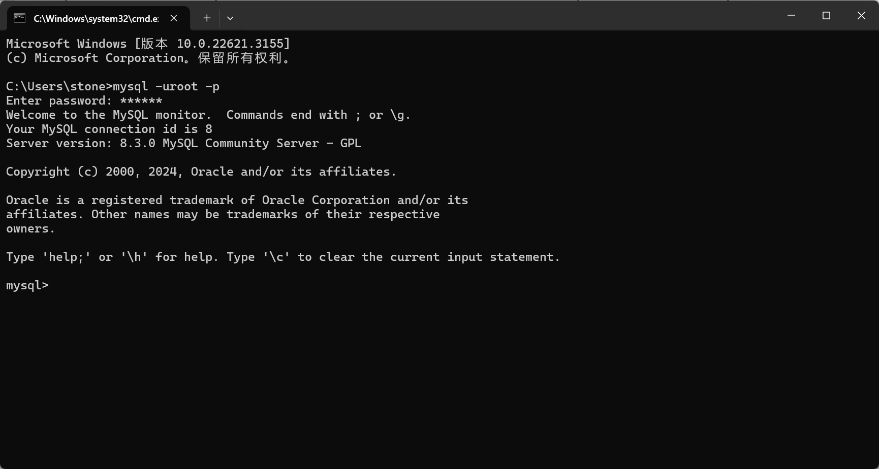 image-20240307170356798