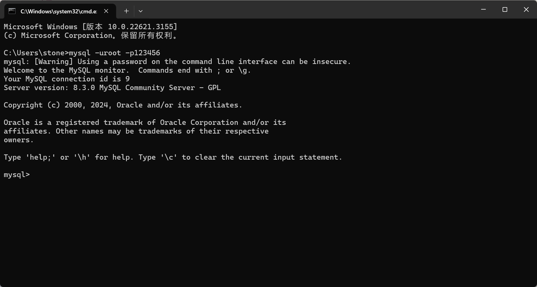 image-20240307170428685